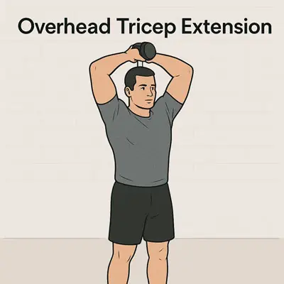 Overhead Tricep Extension